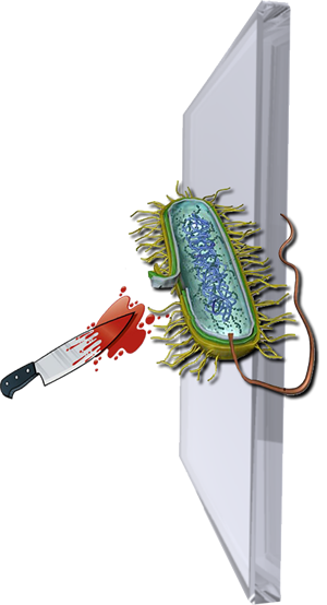 Antimicrobial Glass Suppress and Eliminates Bacteria